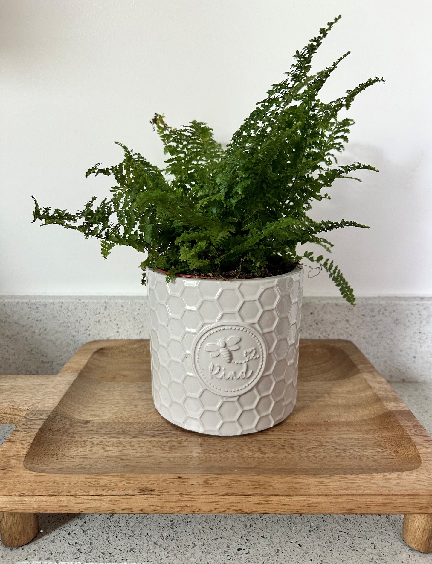 Calm Corner Styling Bundle