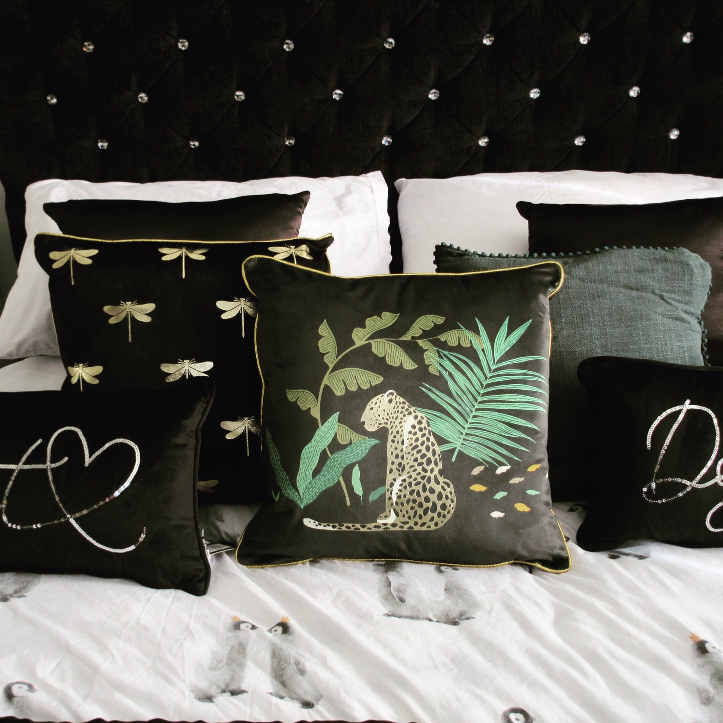 Black Velvet Cushion - 2 designs available