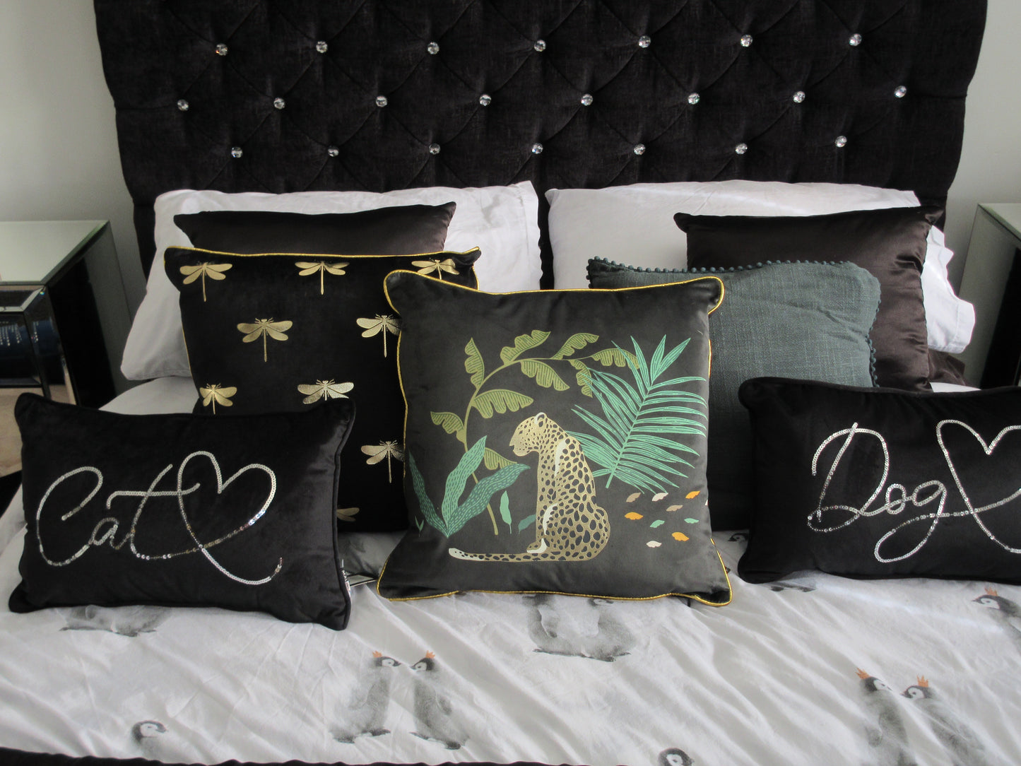 Black Velvet Cushion - 2 designs available