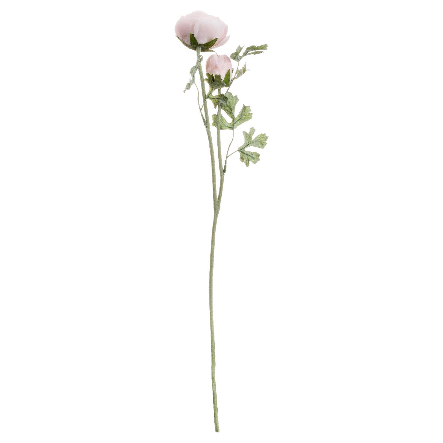 Ranunculus Faux Stem - White or Pink