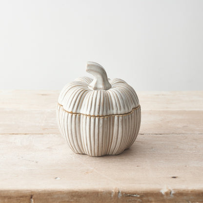 Natural Glazed Ceramic Pumpkin Pots - Set of 2