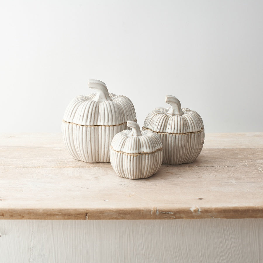 Natural Glazed Ceramic Pumpkin Pots - Set of 2