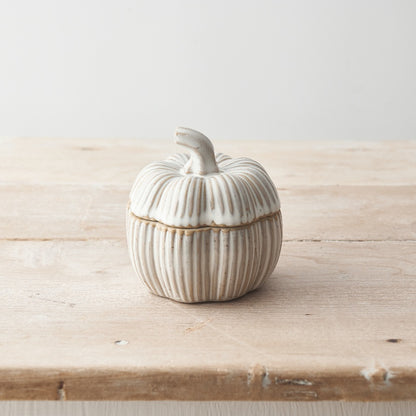 Natural Glazed Ceramic Pumpkin Pots - Set of 2