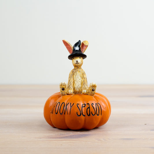 Witch Rabbit On Pumpkin Ornament