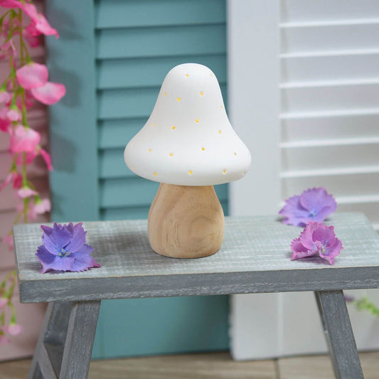 Mushroom Light Up Toadstools
