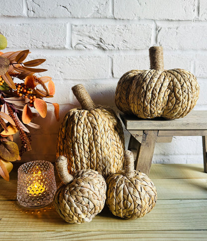 Natural Knitted Set of Raffia Pumpkins