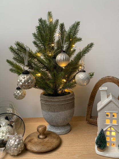 Pine Tree In Stone Pot