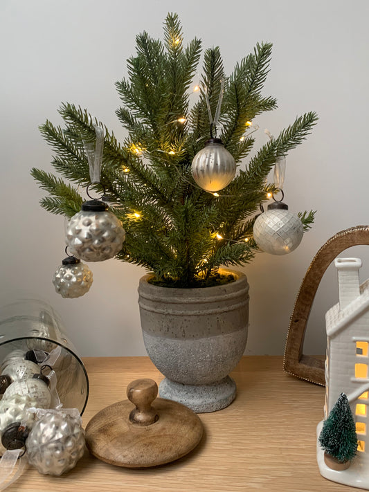 Pine Tree In Stone Pot