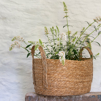 Oval Seagrass Basket with Handles Set of 3