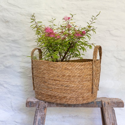 Oval Seagrass Basket with Handles Set of 3