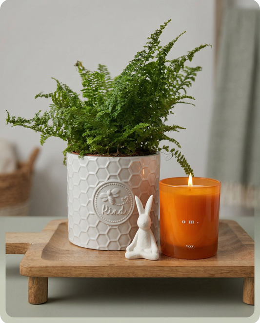 Calm Corner Styling Bundle