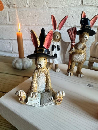 Halloween Sitting Witch Rabbits - 3 styles