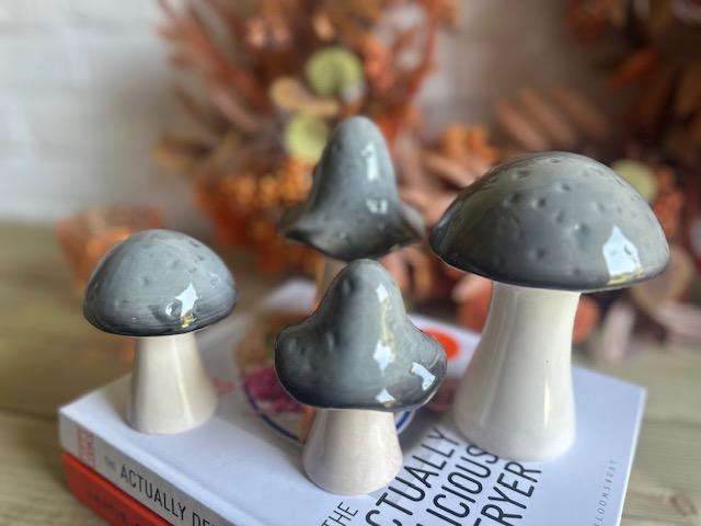 Ceramic Mushrooms