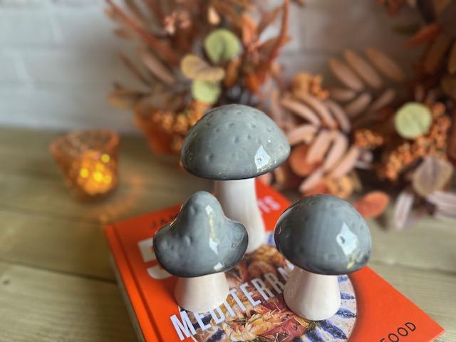 Ceramic Mushrooms