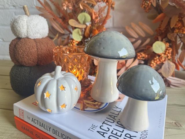 Ceramic Mushrooms