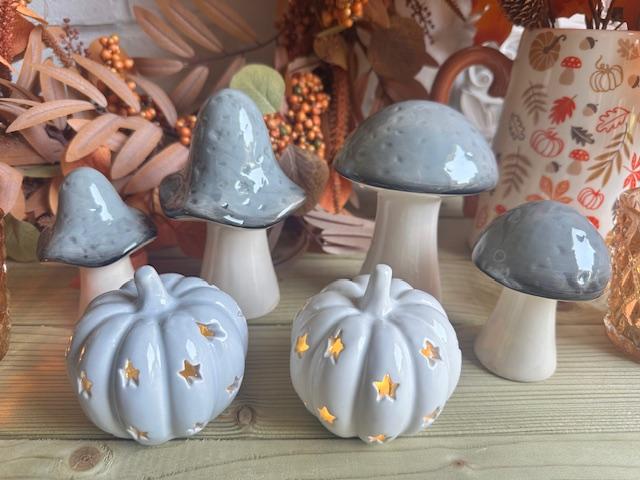 Ceramic Mushrooms