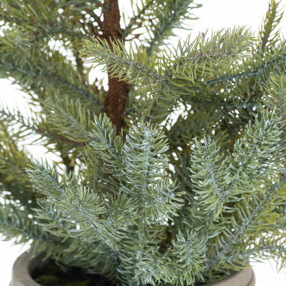 Pine Tree In Stone Pot