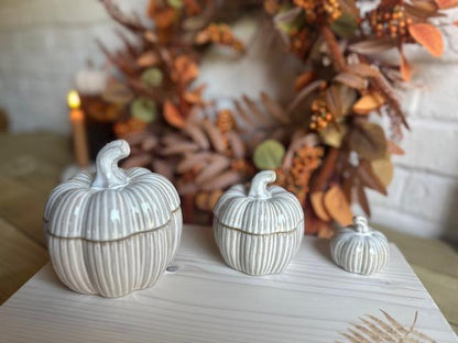 Natural Glazed Ceramic Pumpkin Pots - Set of 2