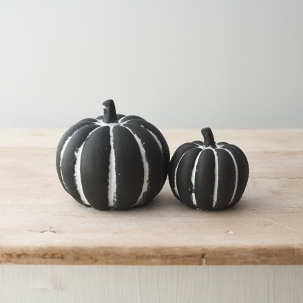 Black Pumpkins - Set of 2