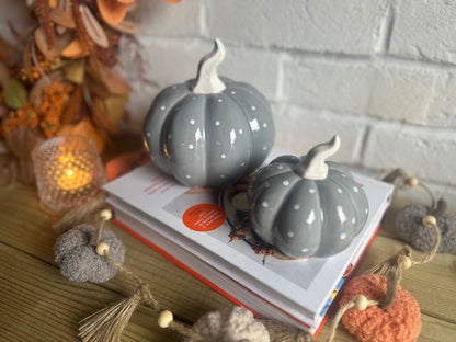 Set of 2 Ceramic Grey Spotty Pumpkins