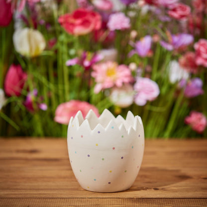 Cracked Egg Spring Planter