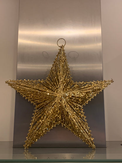 Gold/Silver Hanging Star