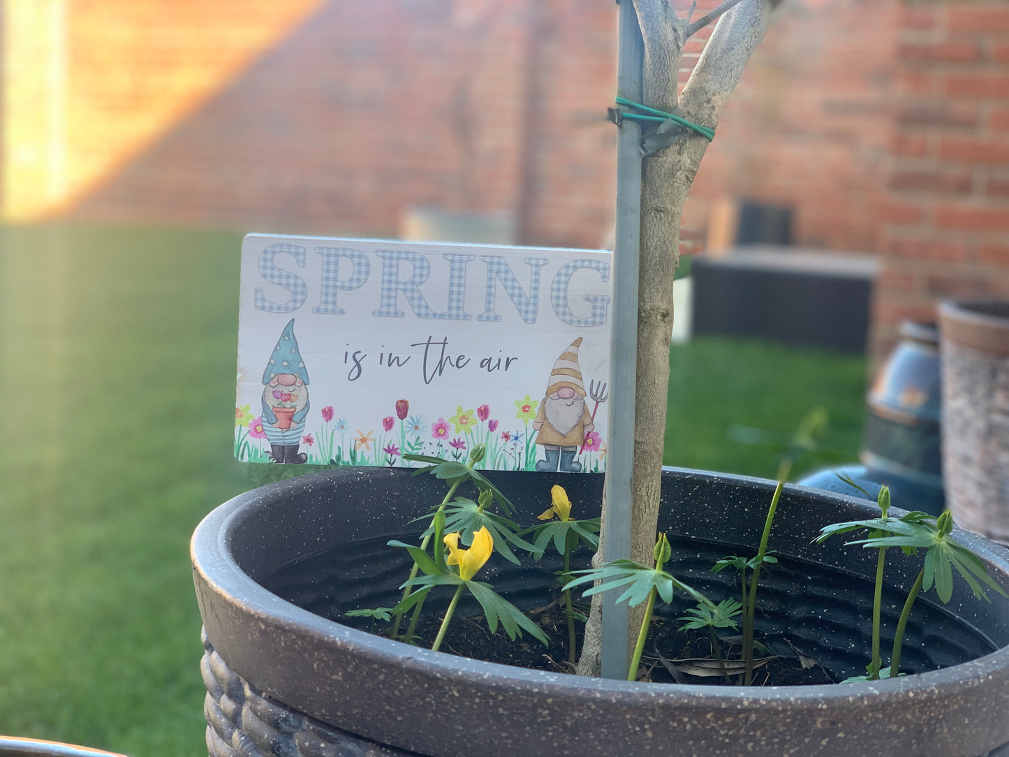 Spring Is In The Air Gonk Block